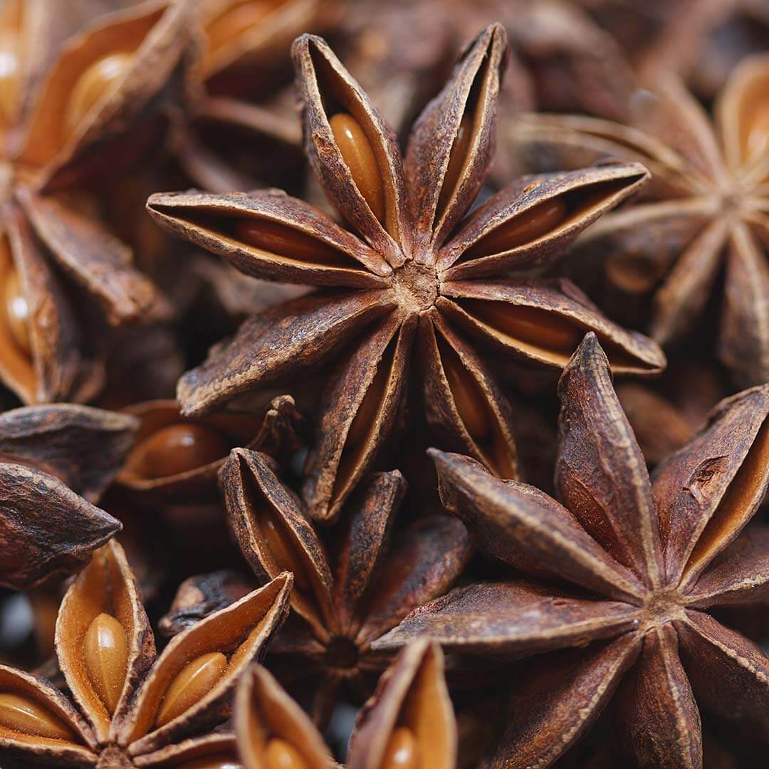 babicka-vodka-ingredients-star-anise